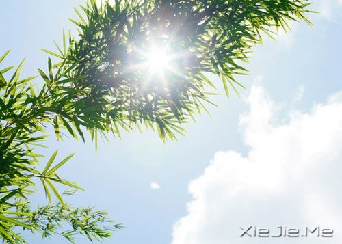 心态不好，人生易老 (4)