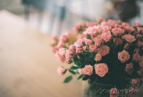 时光如此珍贵，只是我们一去不回 (2)