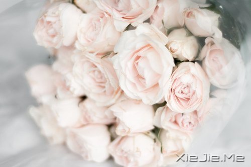 时光如此珍贵，只是我们一去不回 (3)