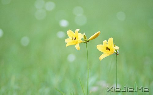 生命如途，走过才知深浅 (1)