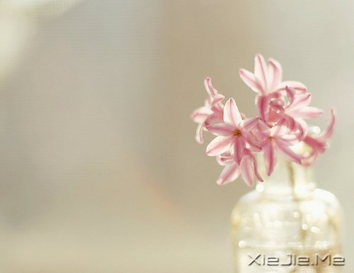 生命如途，走过才知深浅 (5)