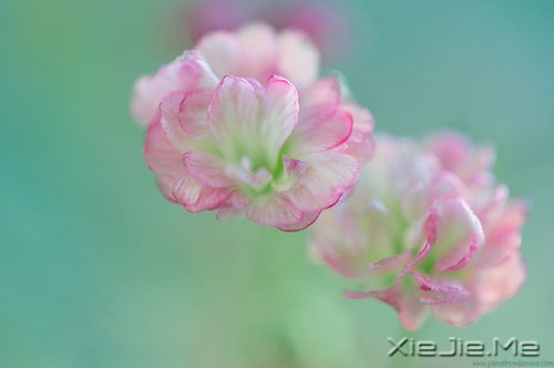 生命如途，走过才知深浅 (7)