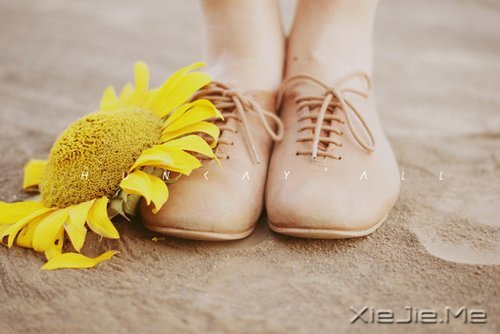 早安心语：控制好心情，生活才会处处祥和 (7)