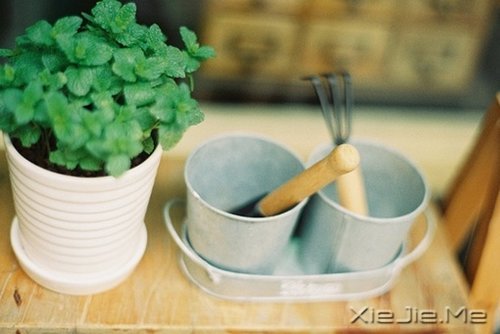 早安心语：控制好心情，生活才会处处祥和 (11)