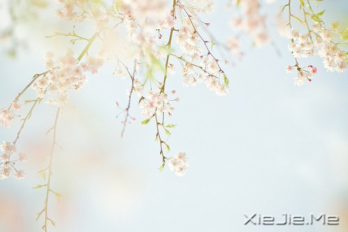这山长水远的道路，终究是要自己走下去 (3)