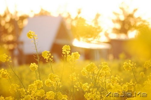 这山长水远的道路，终究是要自己走下去 (6)