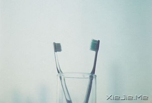 早安心语：最好的感觉，是有人懂你的欲言又止 (4)