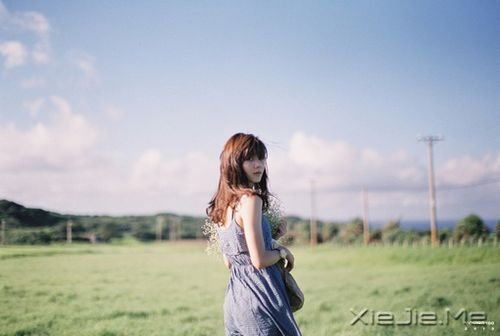 早安心语：只有全力以赴，梦想才能起飞 (4)