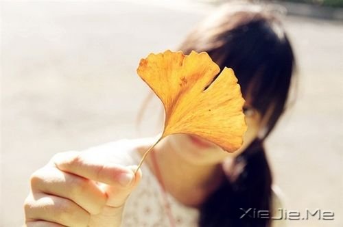早安心语：只有全力以赴，梦想才能起飞 (8)