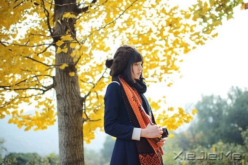 早安心语：只有全力以赴，梦想才能起飞 (10)