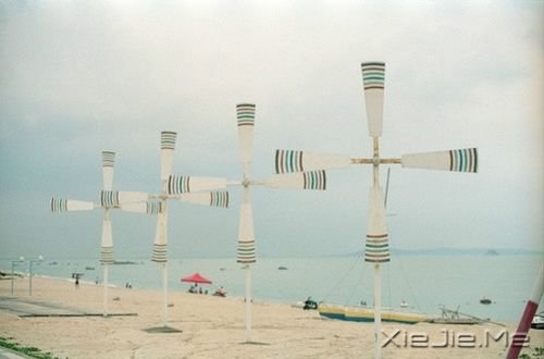 早安心语：生活，不怕苦，就怕麻木 (8)