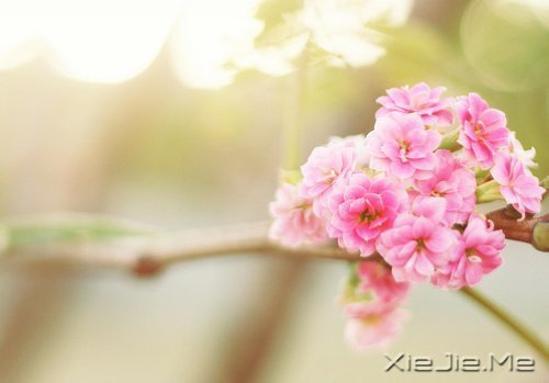 简单的喜欢，最长远；懂你的人，最温暖