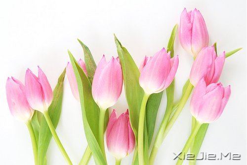 最漫长的爱，其实是与自己相爱