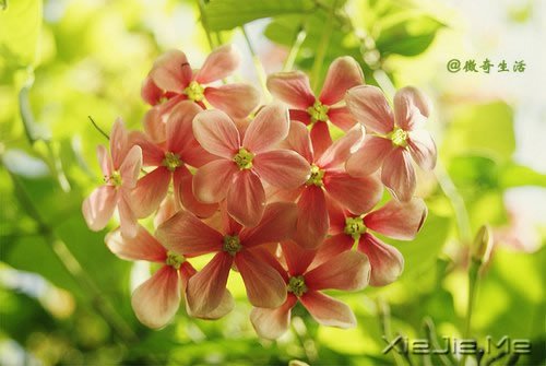 人生感悟：做人的7张底牌